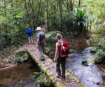 East and North Madagascar