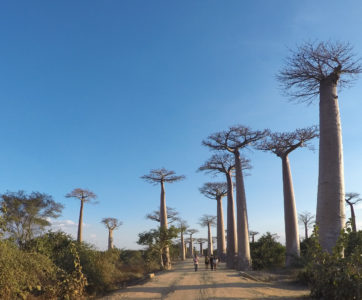Madagascar Touring