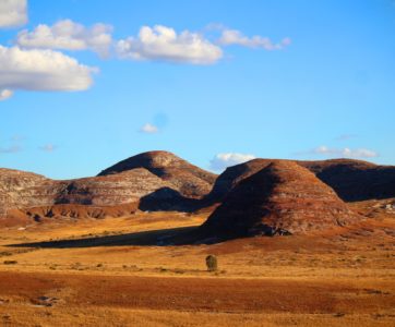 The best of Makay North