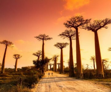 Le tour de madagascar en photos