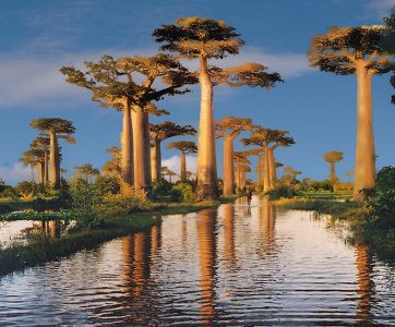 East and West of Madagascar