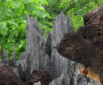 Down the Tsiribihina river