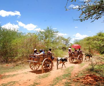 Madagascar Touring