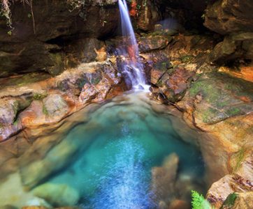 The authentic National 7