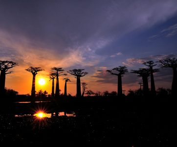 Madagascar photography tour